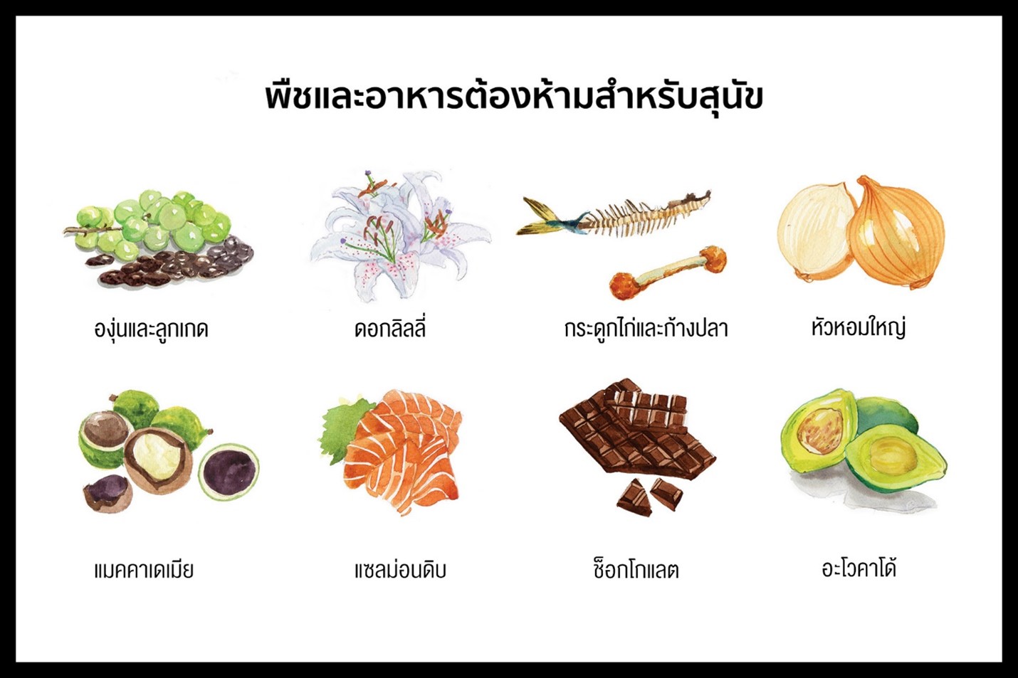 7 อาหารที่ห้ามสุนัขกินเป็นอันขาด ถึงตายได้เลย